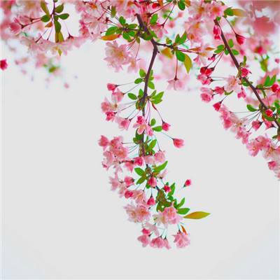 奇门剑客手游(暂未上线)v1.0.8 安卓最新版